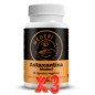 Pack de 3 unidades Astaxantina 60 Cápsulas Méderi Nutrición Integrativa Pack de 3 unidades Astaxantina 60 Cápsulas Méderi Nutrición Integrativa