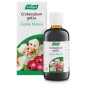 Crataegisan Gotas 100 Ml Vogel Crataegisan Gotas 100 Ml Vogel