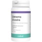 Gymnema Silvestre 90 Capsulas Codival