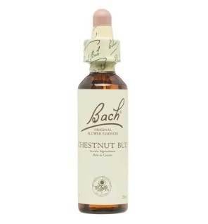 Flor Nº 7 Chestnut Bud 20Ml Flores Bach Original