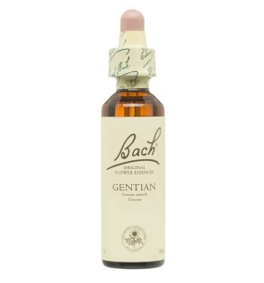 Flor Nº 12 Gentian 20Ml Flores Bach Original