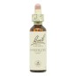Flor Nº 16 Honeysuckle 20Ml Flores Bach Original Flor Nº 16 Honeysuckle 20Ml Flores Bach Original