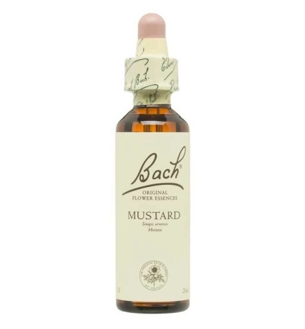 Flor Nº 21 Mustard 20Ml Flores Bach Original