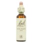Flor Nº 27 Rock Water 20Ml Flores Bach Original Flor Nº 27 Rock Water 20Ml Flores Bach Original