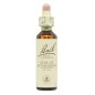 Flor Nº 29 Star Of Bethlehem 20Ml Flores Bach Original Flor Nº 29 Star Of Bethlehem 20Ml Flores Bach Original