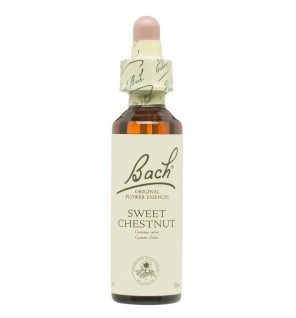 Flor Nº 30 Sweet Chestnut 20Ml Flores Bach Original