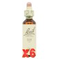 Pack de 6 unidades Flor Nº 11 Elm 20Ml Flores Bach Original Pack de 6 unidades Flor Nº 11 Elm 20Ml Flores Bach Original
