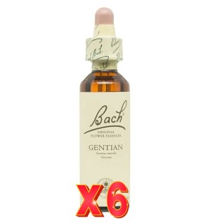 Pack de 6 unidades Flor Nº 12 Gentian 20Ml Flores Bach Original