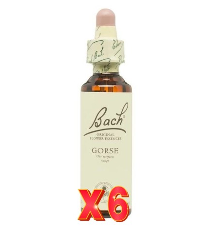 Pack de 6 unidades Flor Nº 13 Gorse 20Ml Flores Bach Original
