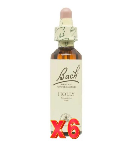 Pack de 6 unidades Flor Nº 15 Holly 20Ml Flores Bach Original