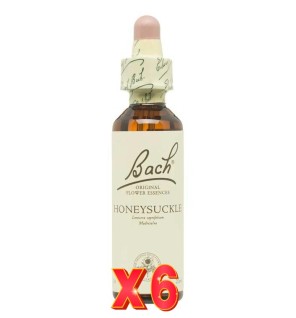 Pack de 6 unidades Flor Nº 16 Honeysuckle 20Ml Flores Bach Original