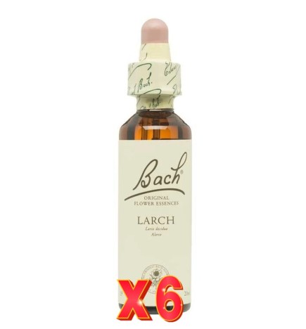 Pack de 6 unidades Flor Nº 19 Larch 20Ml Flores Bach Original
