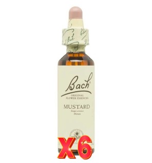 Pack de 6 unidades Flor Nº 21 Mustard 20Ml Flores Bach Original