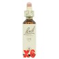 Pack de 6 unidades Flor Nº 22 Oak 20Ml Flores Bach Original Pack de 6 unidades Flor Nº 22 Oak 20Ml Flores Bach Original