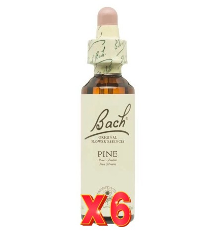 Pack de 6 unidades Flor Nº 24 Pine 20Ml Flores Bach Original