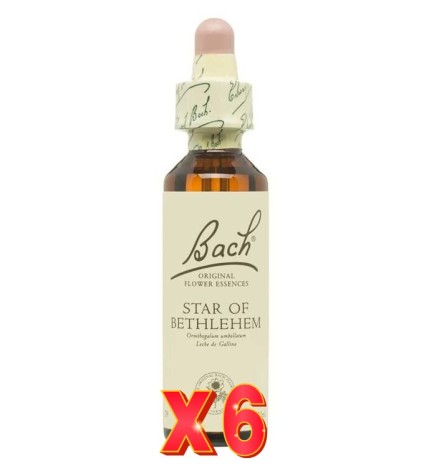 Pack de 6 unidades Flor Nº 29 Star Of Bethlehem 20Ml Flores Bach Original