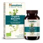 Bacopa Organic 60 Cápsulas Himalaya