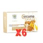 Pack de 6 unidades Curcuma Gold-30 Comp Noefar Pack de 6 unidades Curcuma Gold-30 Comp Noefar