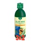 Pack de 3x2 unidades Aloe Vera Zumo Papaya 500 Ml De Trepatdiet-Esi Pack de 3x2 unidades Aloe Vera Zumo Papaya 500 Ml De Trepatdiet-Esi