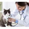 Veterinaria