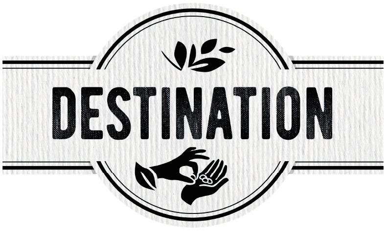 PACK 6 UNIDADES DESTINATION